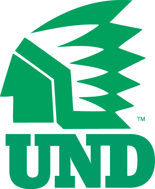 North Dakota Fighting Hawks 1976-1999 Alternate Logo diy DTF decal sticker